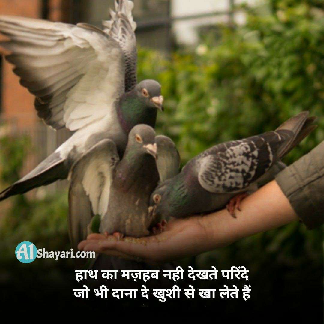 Inspirational Hindi Shayari