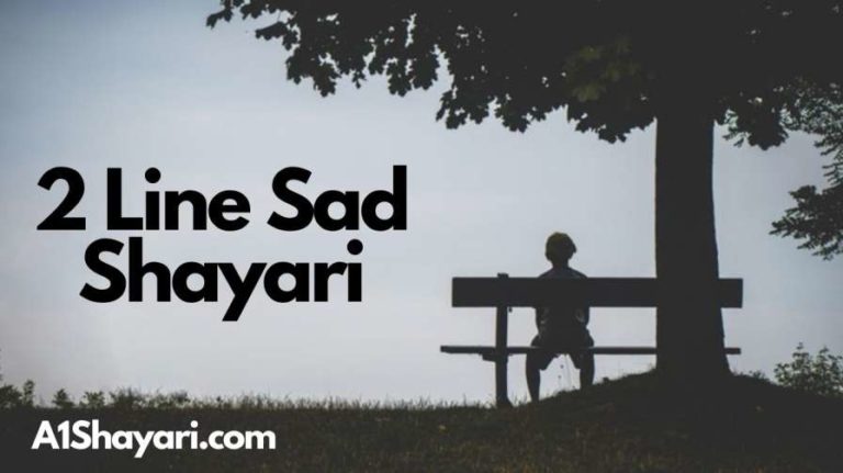 [Best 80+]» 2 Line Sad Shayari In Hindi With Images (☭ ͜ʖ ☭)