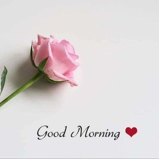 Best 100+] Good Morning Images HD [Morning Wishes]
