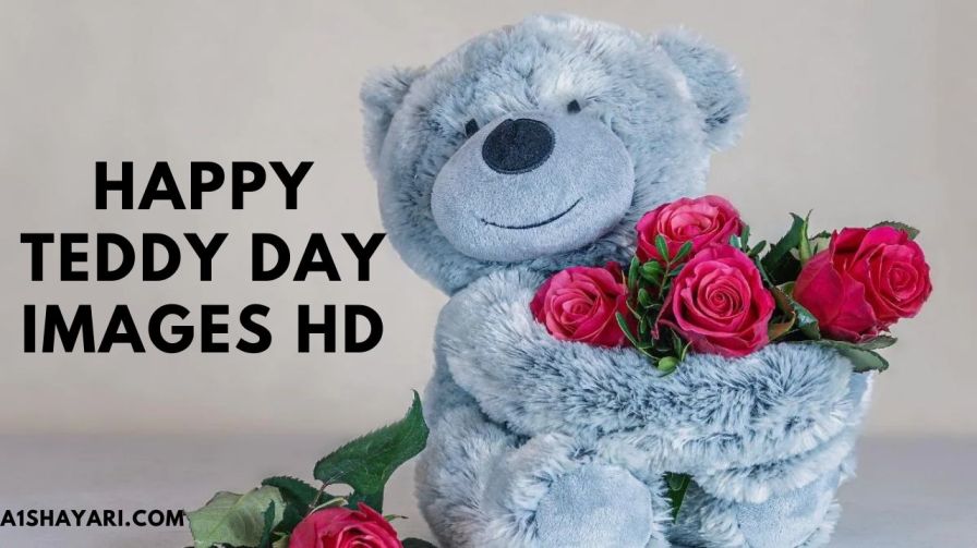 Happy Teddy Day Images HD [Quotes, SMS, Shayari, Wishes]